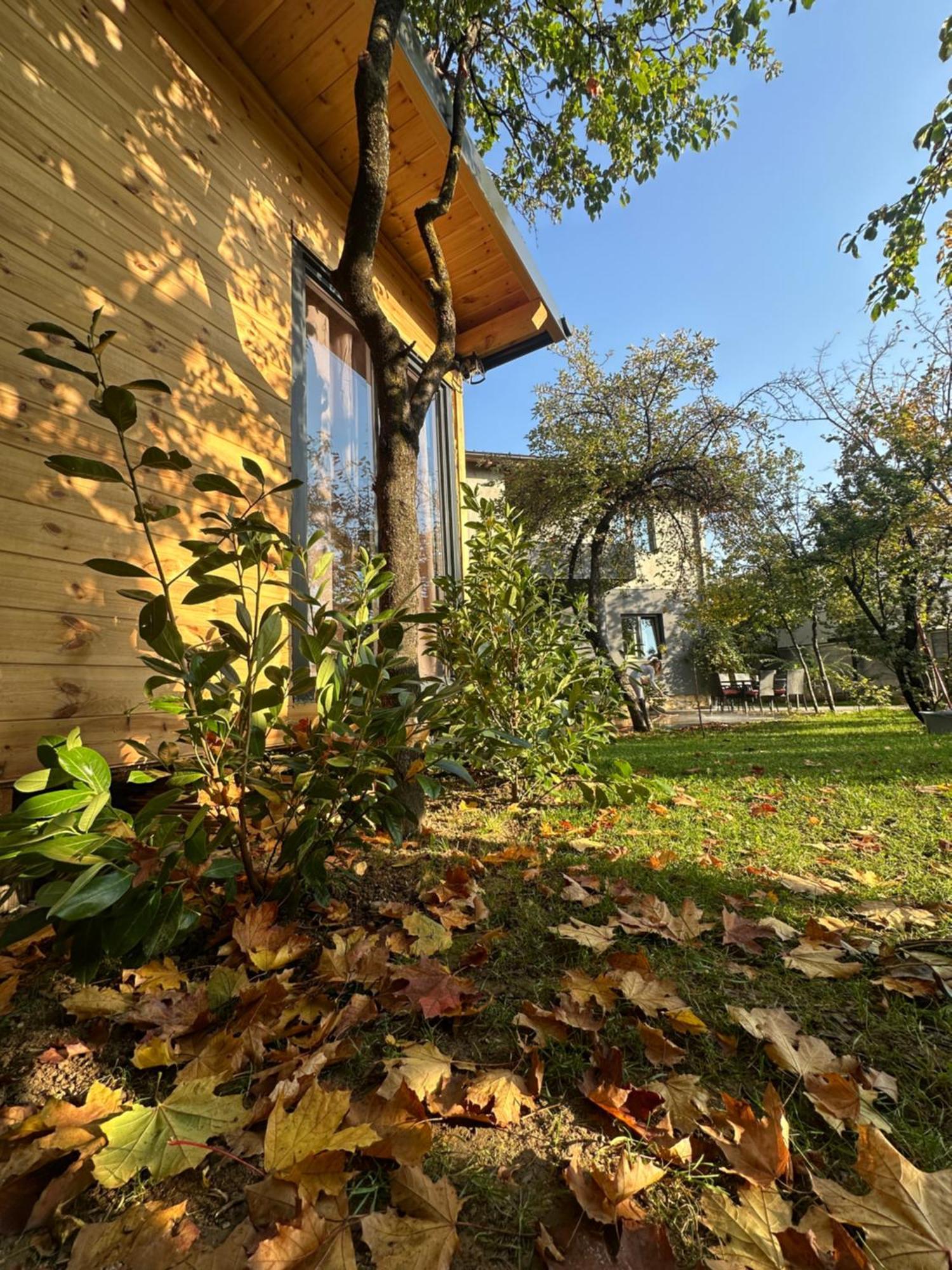 Bora Hotell Peja Exteriör bild